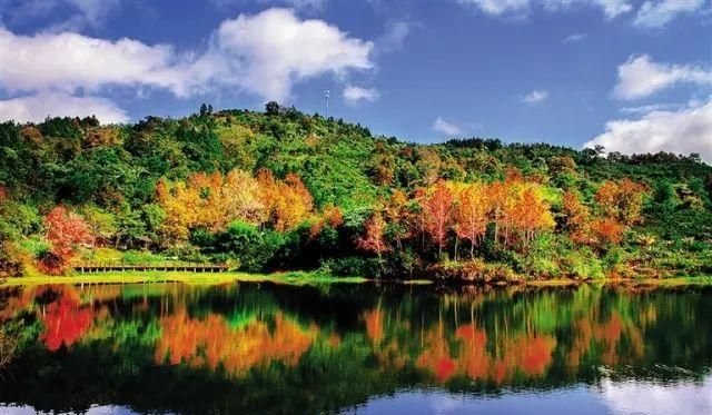 五指山天气（从化五指山天气）