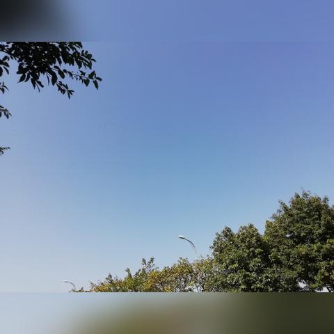 天津天气预报一周（河北省天津天气预报一周）