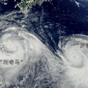 利奇马台风（利奇马台风2019年8月10日）