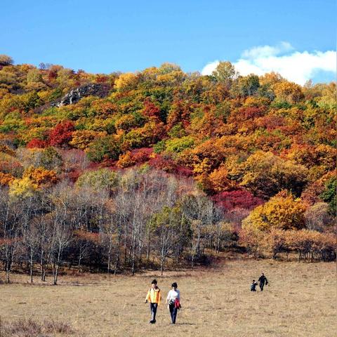 西双版纳天气15天查询（西双版纳天气15天查询一周）