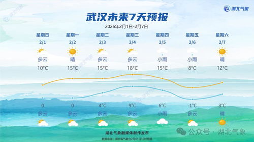 关于武汉市天气的信息